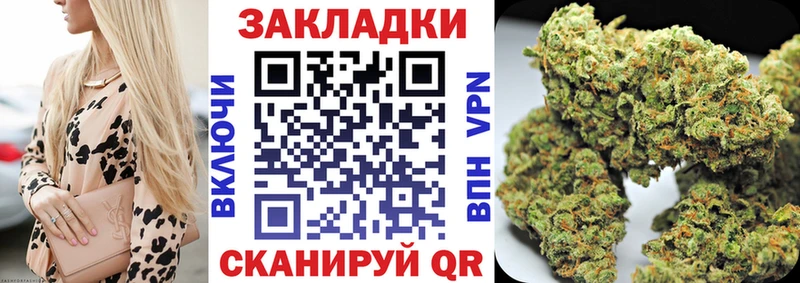 МЕФ Далматово