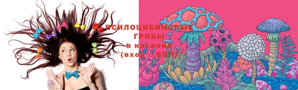 синтетический гашиш Алексеевка