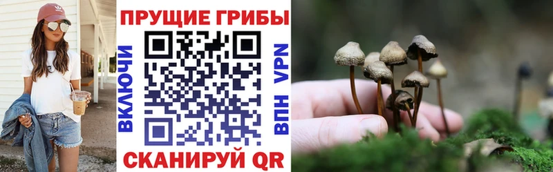 Псилоцибиновые грибы ЛСД  Далматово 